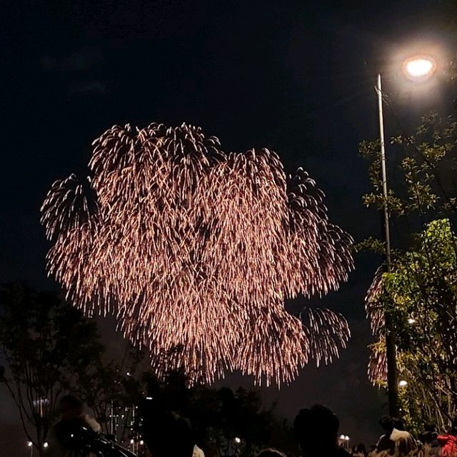 Seoul Fireworks Summer Festival at Hangang Park