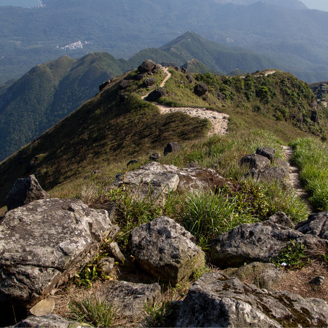 香港🇭🇰 ｜挑戰香港第二高峰⛰️ - 鳳凰山