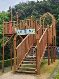【福井】科学館の公園が広い！