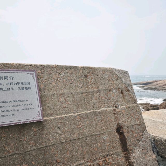 趕海季節小攻略: 小青島 趕海季節小攻略: 小青島
