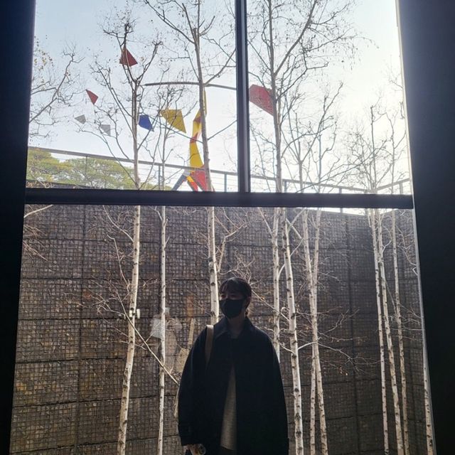 서울 무료 전시, 삼성 리움 미술관 🎨