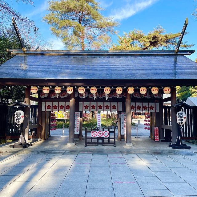 【千葉県/櫻木神社】千葉の桜づくしの神社