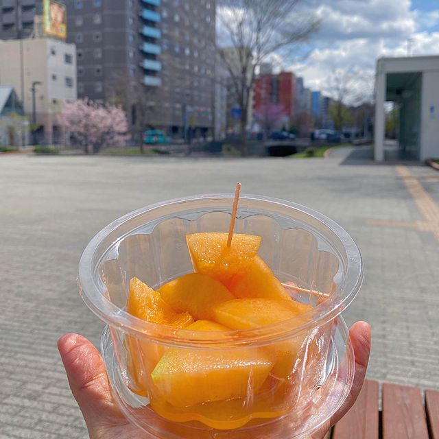 삿포로 니조시장 홋카이도 3대시장 신선한 해산물천국🦀