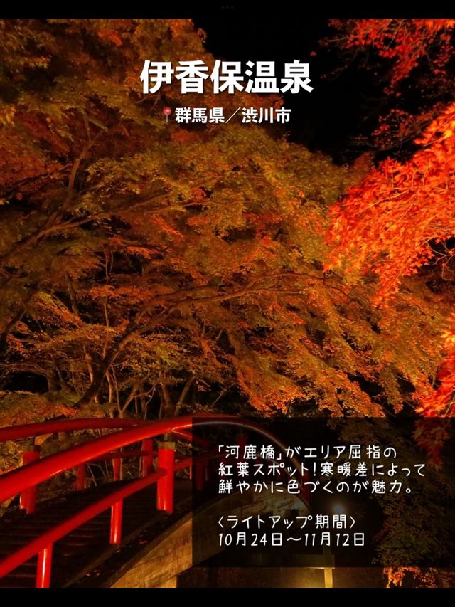 今年絶対に見逃したくない…！全国の紅葉ライトアップスポット7選🍁