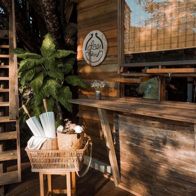  Daynin.cafe คาเฟ่บ้านต้นไม้ 🌳 จ.เชียงราย