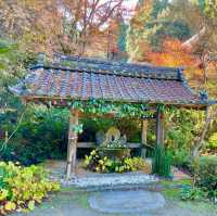 Choju-ji Temple: Serenity Through Centuries