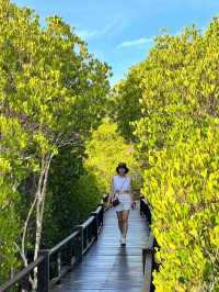 วนอุทยาน​ปราณบุรี​ แนบชิดธรรมชาติ​