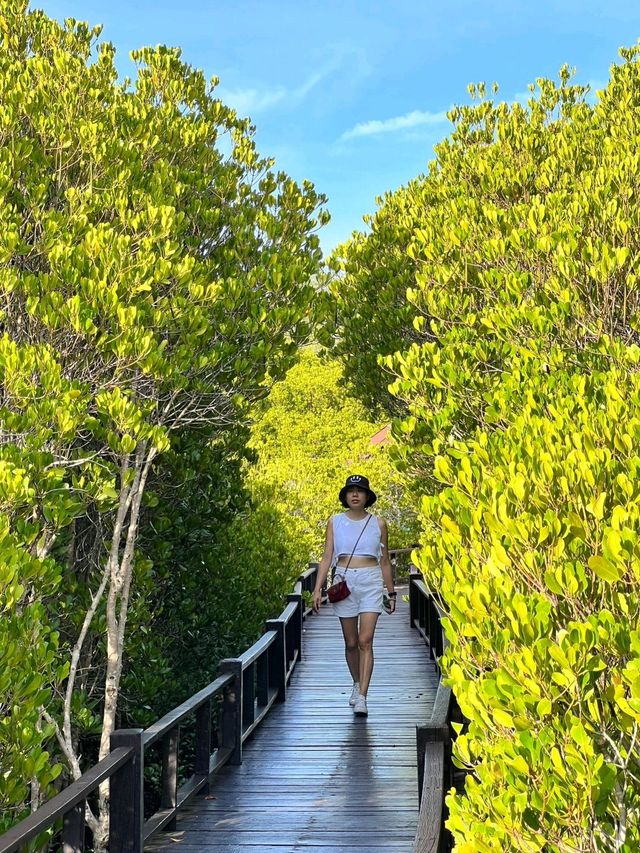 วนอุทยาน​ปราณบุรี​ แนบชิดธรรมชาติ​