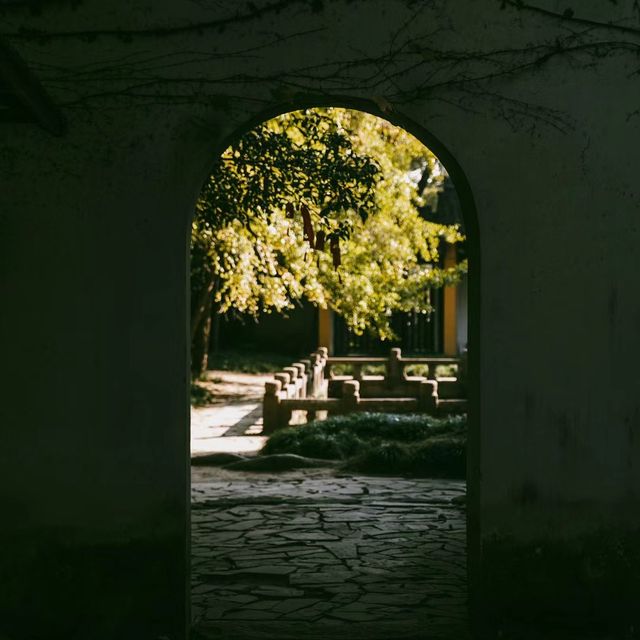 華光寺 🏯🌸靜心禪修🌼🙏