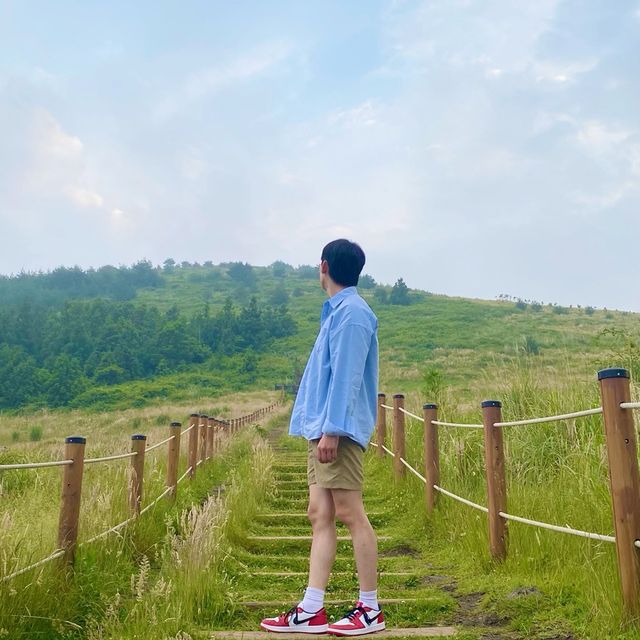웨딩 촬영 장소로 아주 인기 터지는 백약이오름 💙