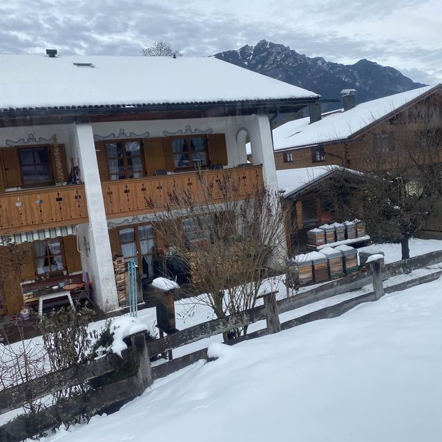 Garmisch PartenkirchenからZugspitzeまでの登山列車の車窓から