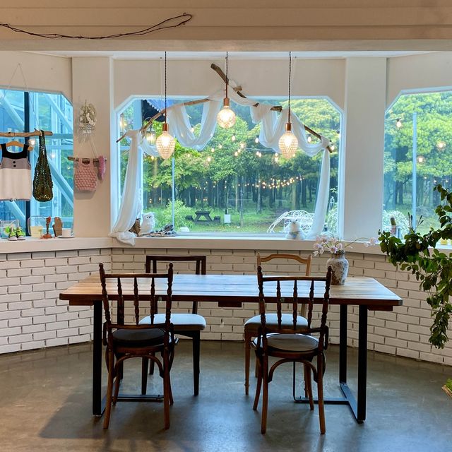 🌳☕️피톤치드 뿜뿜 “카페갤러리”