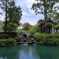 Ching Ming Festival Discovery