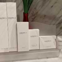 新加坡卡爾登酒店-地點方便，乾淨舒適的高級酒店