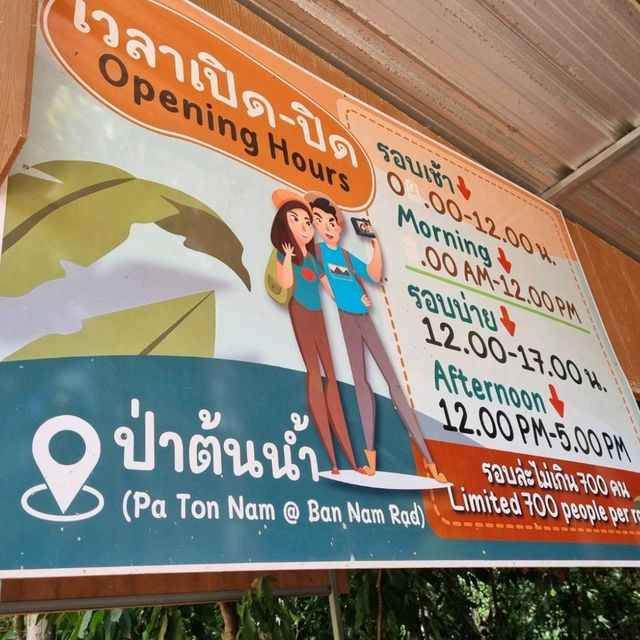 ป่าต้นน้ำบ้านน้ำราด 🌿