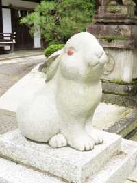 京都でおすすめ！縁結びのうさぎの神社