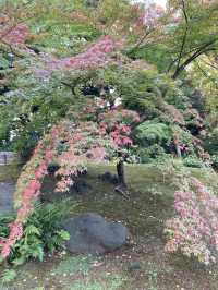 Former Furukawa Gardens 