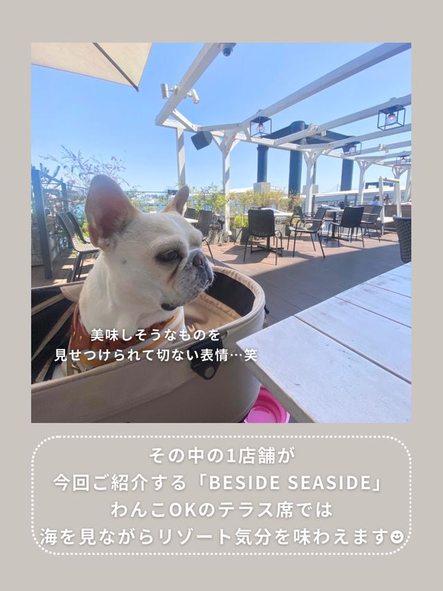 【東京･竹芝】海沿いのおしゃれカフェ🕊️