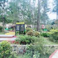 Exploring Baguio’s Botanical Wonders