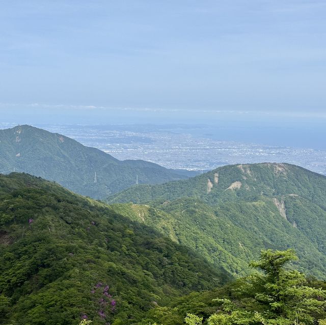 【神奈川】初夏の登山・塔ノ岳山頂にて