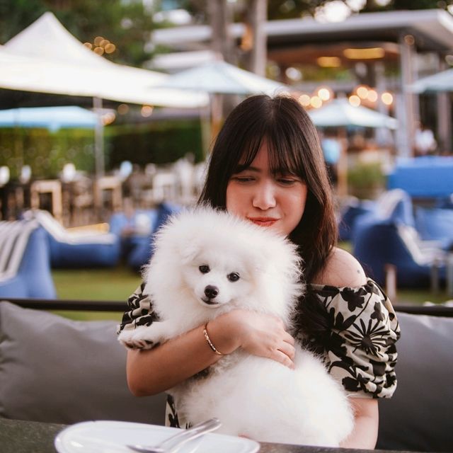 The Sky Gallery ร้านอาหารบรรยากาศดีริมทะเลพัทยา!