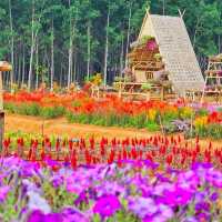 สวนดอกไม้ สุด ว้าว จ.กระบี่