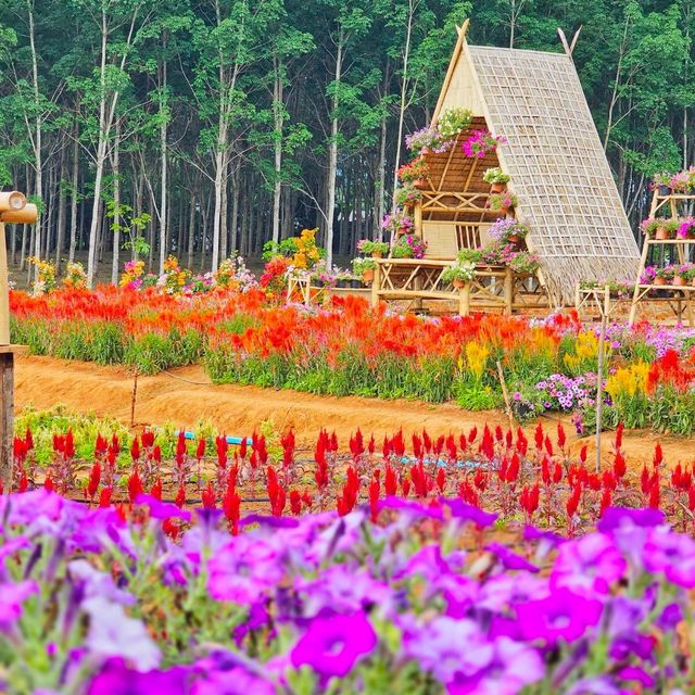 สวนดอกไม้ สุด ว้าว จ.กระบี่