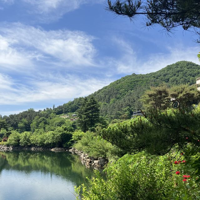 금산의 알프스, 하늘물빛정원 ✨