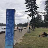 Sydneysiders Favourite Beach 