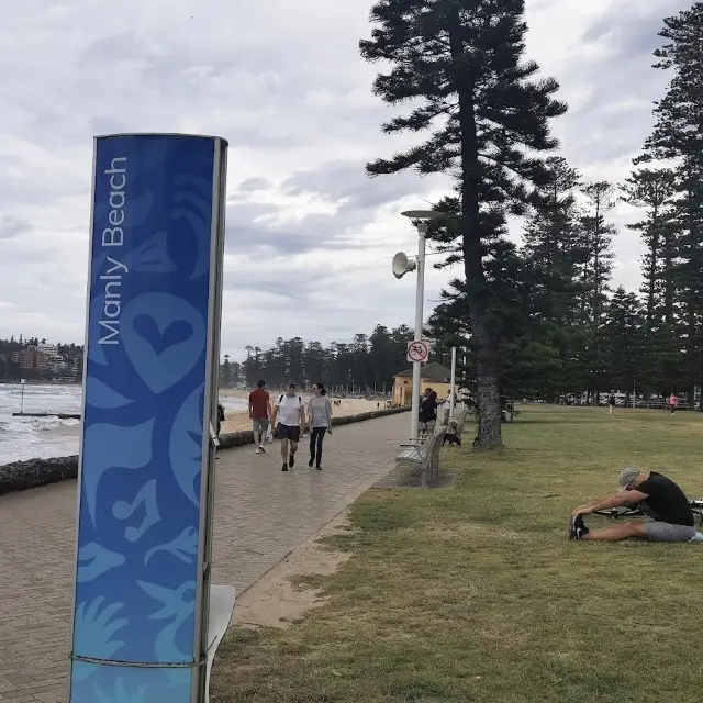 Sydneysiders Favourite Beach 