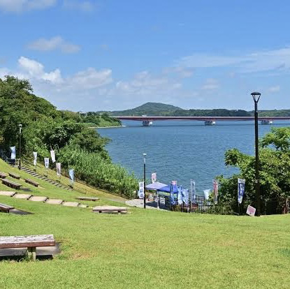 絶景　浜名湖を望むサービスエリアで三ヶ日みかんソフトクリームを堪能しました！