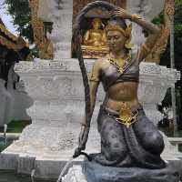 วัดป่าดาราภิรมย์ เชียงใหม่