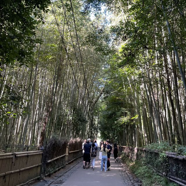 【ペットとお出かけ】古都芋本舗で大玉みたらしを食す