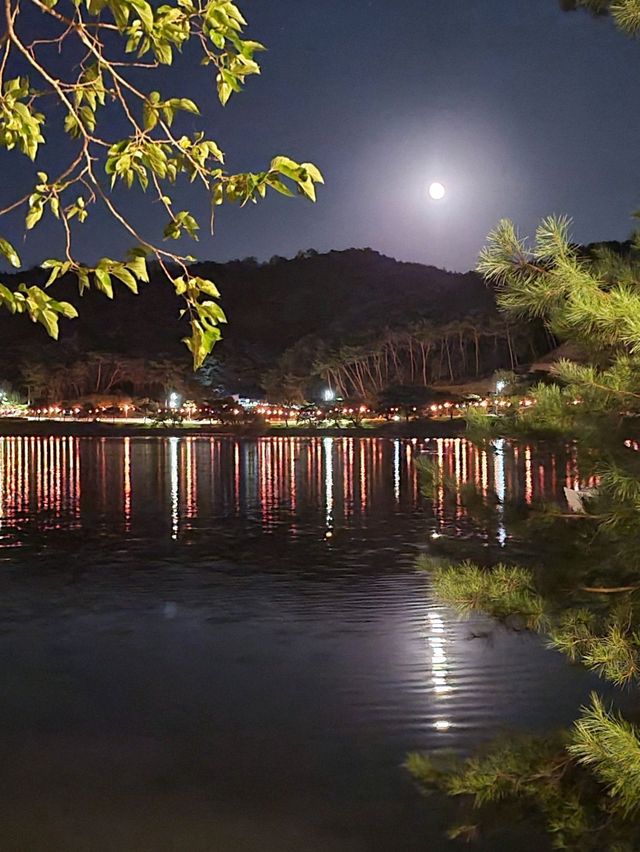 밤에 보면 더 화려한 의림지 야경✨️