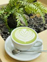 NOC Coffee Co.圍方新店體驗