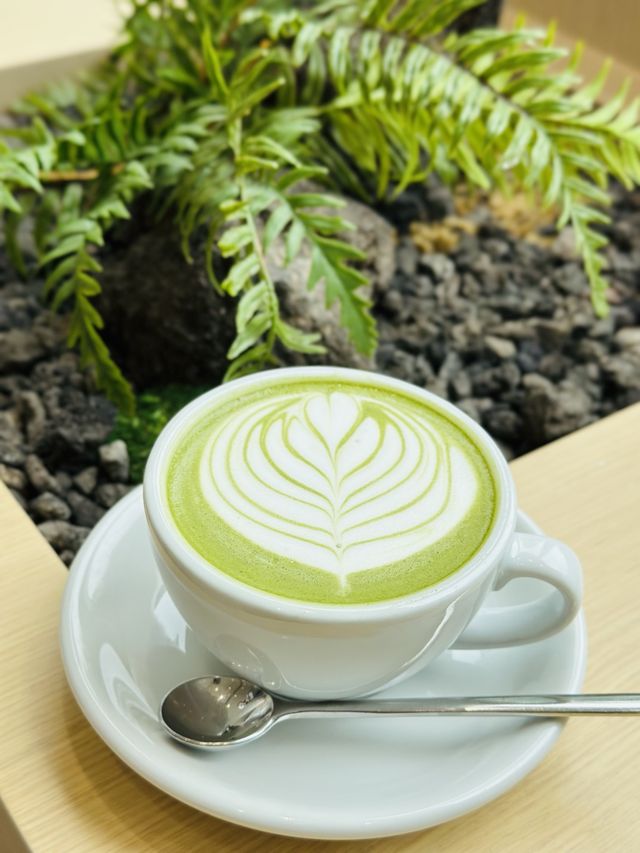 NOC Coffee Co.圍方新店體驗
