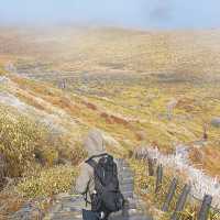 初心者おすすめ登山スポット【霧ヶ峰編】