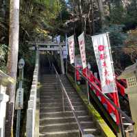 吉野山へ行くときは桜の時期はもちろんのこと、紅葉シーズンもおすすめ！鴨うどんと葛餅をいただきながら、世界遺産も巡りました