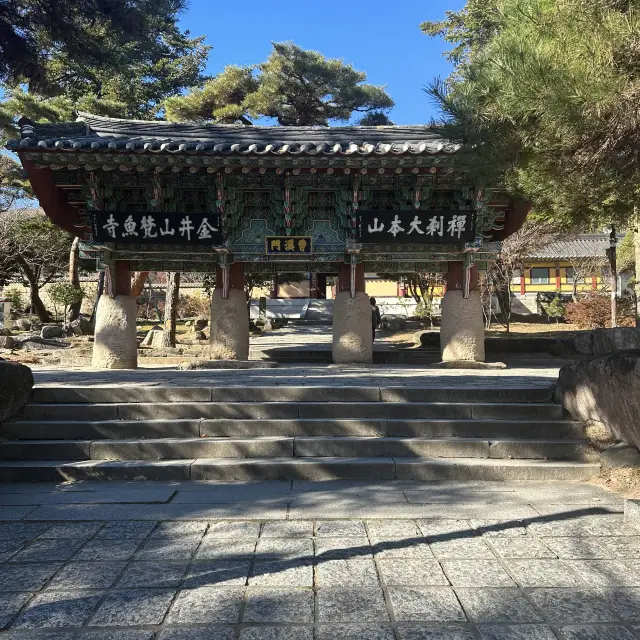 韓國｜釜山 梵魚寺 🍁秋冬賞楓葉聖地推薦