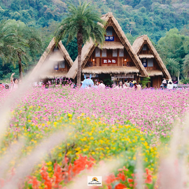Hokkaido Flower Park Khaoyai