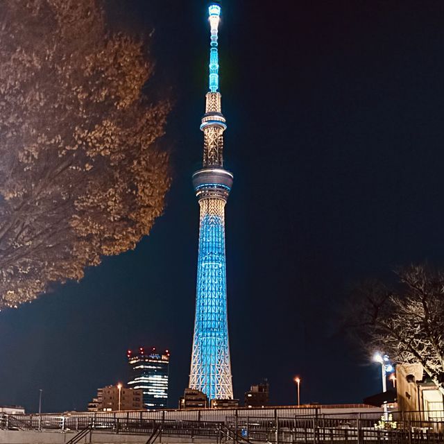 Tower for a lifetime! Sky tree