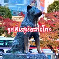 สุนัขผู้ซื่อสัตย์กับใบไม้แดง Shibuya, Tokyo