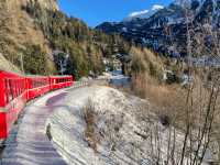 Most Beautiful Alpine View Bernina Express