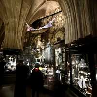 A magical tour for muggles