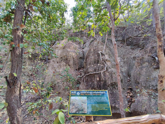 มหัศจรรย์ปรากฎการณ์ธรรมชาติอายุนับล้านปี ⛰️⛰️