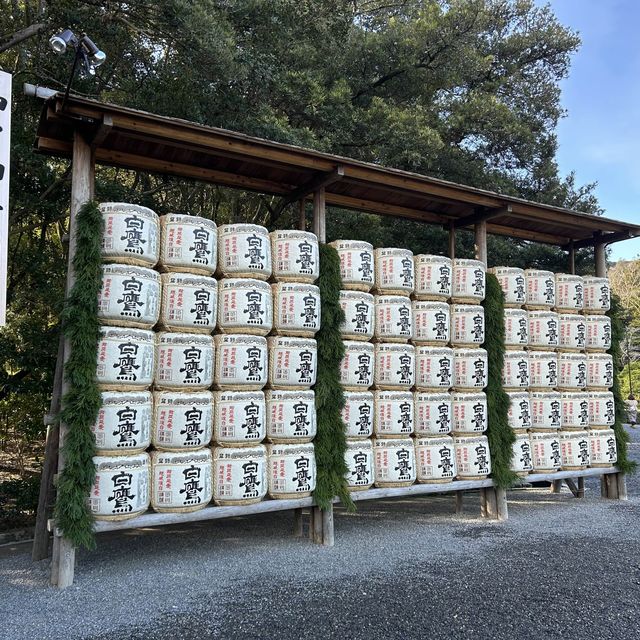 【伊勢神宮】参拝&食べ歩き