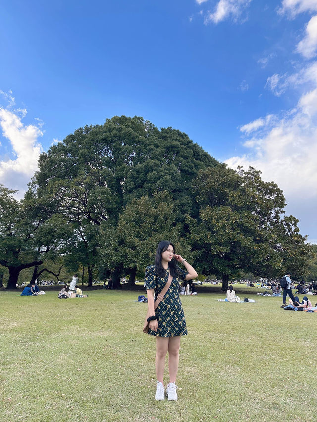 신주쿠를 간다면, 꼭 가야하는 곳 ! 신주쿠교엔 💚