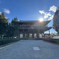 【京都】紅葉・青もみじ🍃想像を超えるスケールの自然美"東福寺"