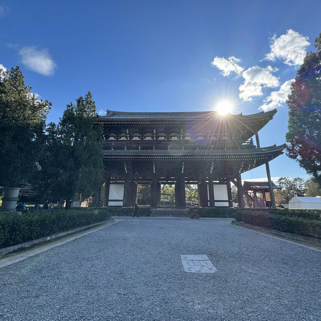 【京都】紅葉・青もみじ🍃想像を超えるスケールの自然美"東福寺"