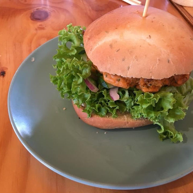 High country salmon 
